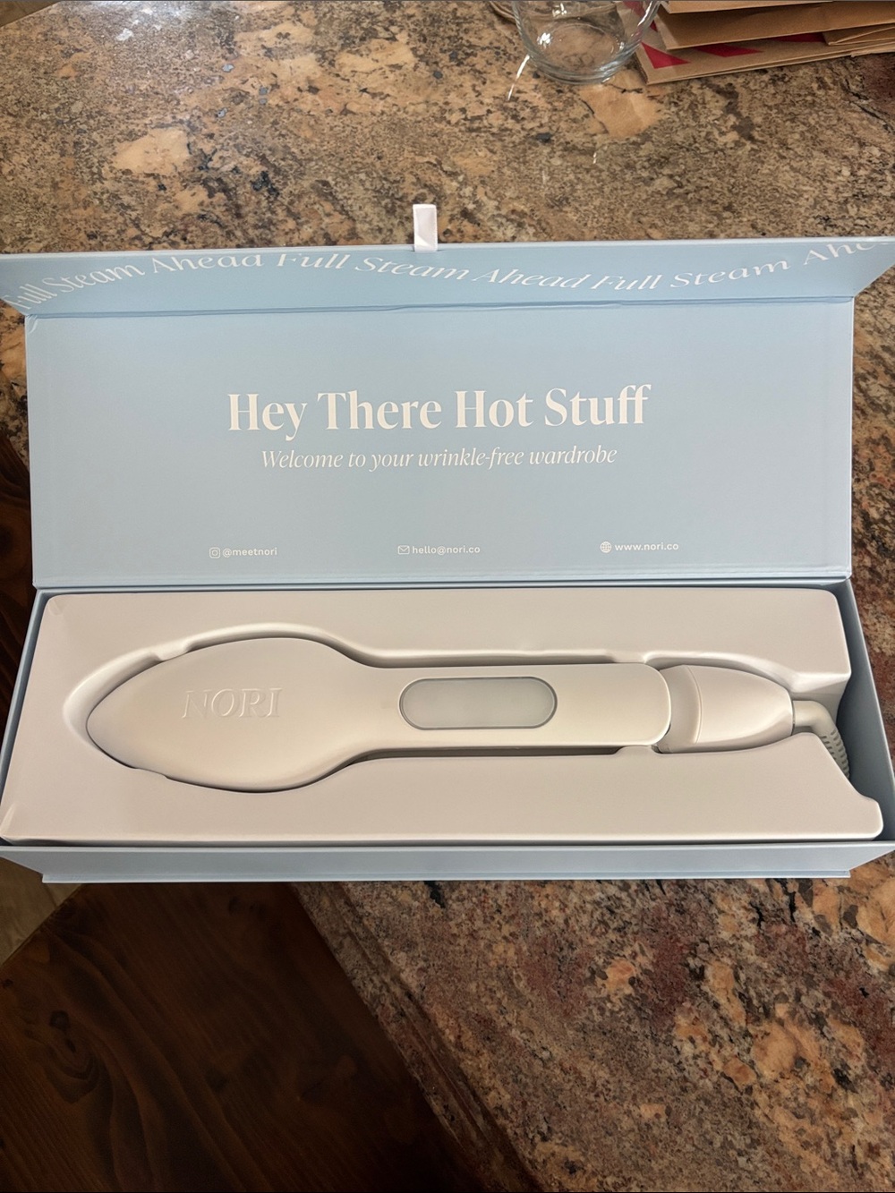 Nori Handheld Garment Iron/Steamer, brand new